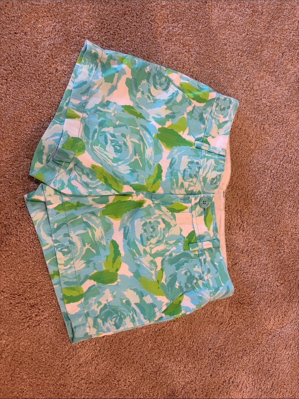 Callahan High-Waist Floral Shorts in Aqua and Green